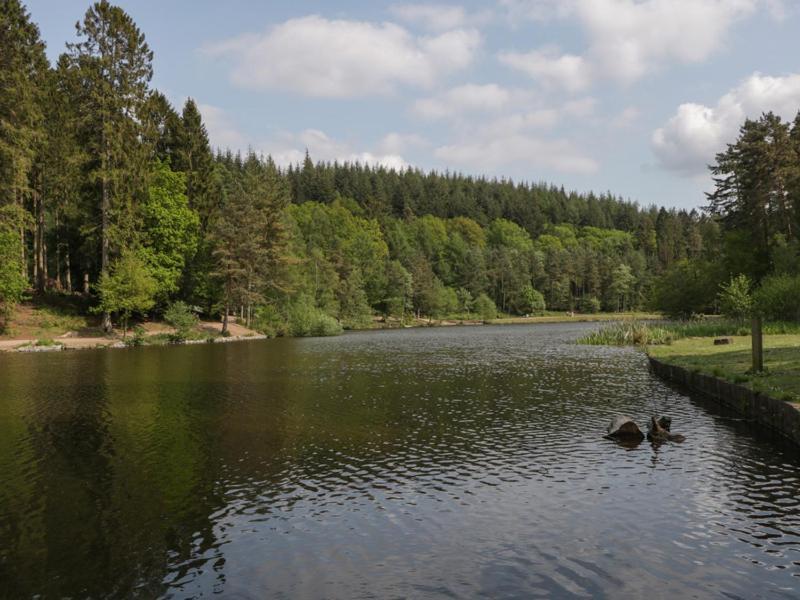 The Forest Coach House Cinderford Exteriér fotografie
